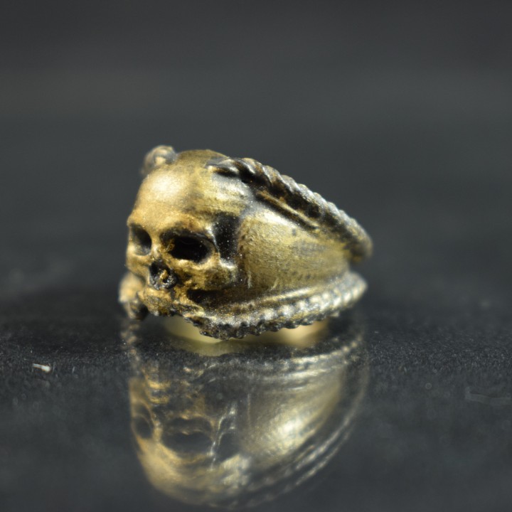 Pirate Skull Ring image