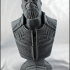 Thanos (Infinity War) bust print image