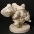 dwarf print image