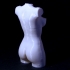 Wonderful Women Torso print image