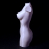 Wonderful Women Torso print image