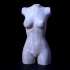 Wonderful Women Torso print image