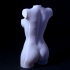 Wonderful Women Torso print image