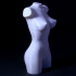 Wonderful Women Torso print image