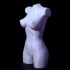 Wonderful Women Torso print image