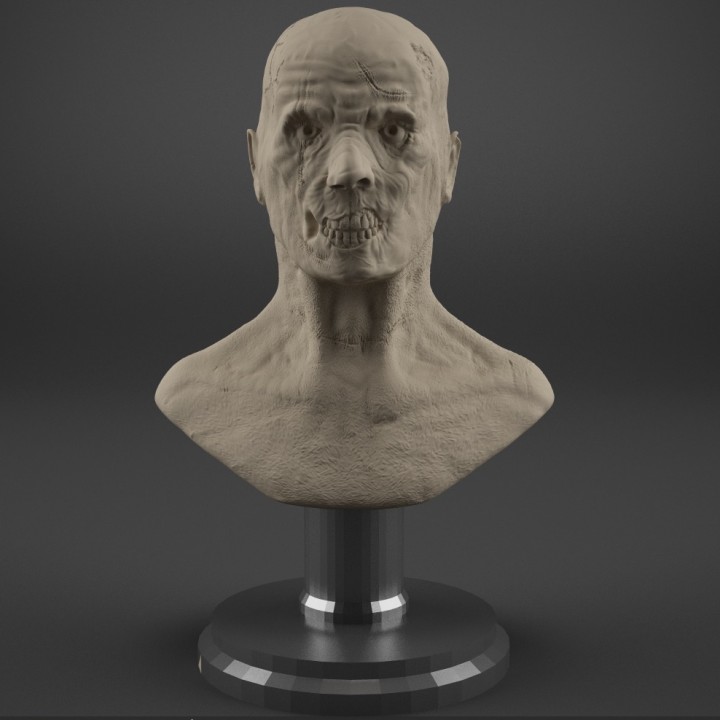 Zombie Bust image