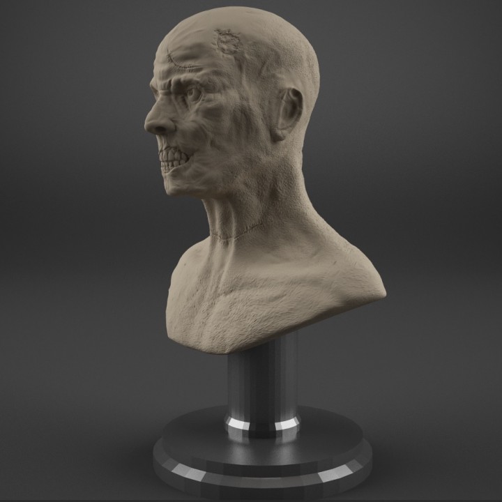 Zombie Bust image