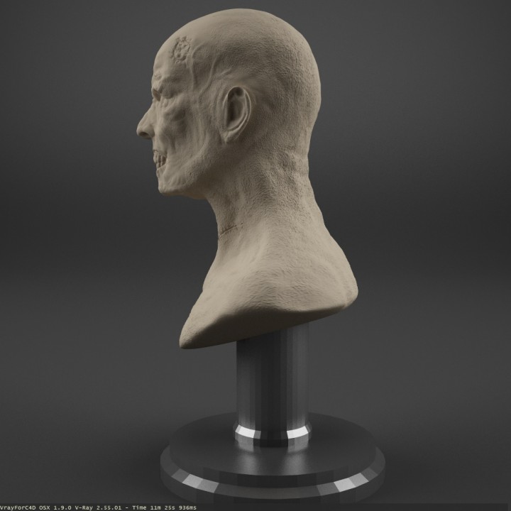 Zombie Bust image