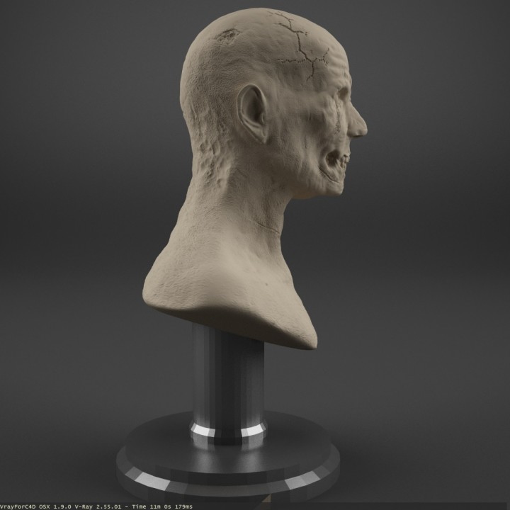 Zombie Bust image