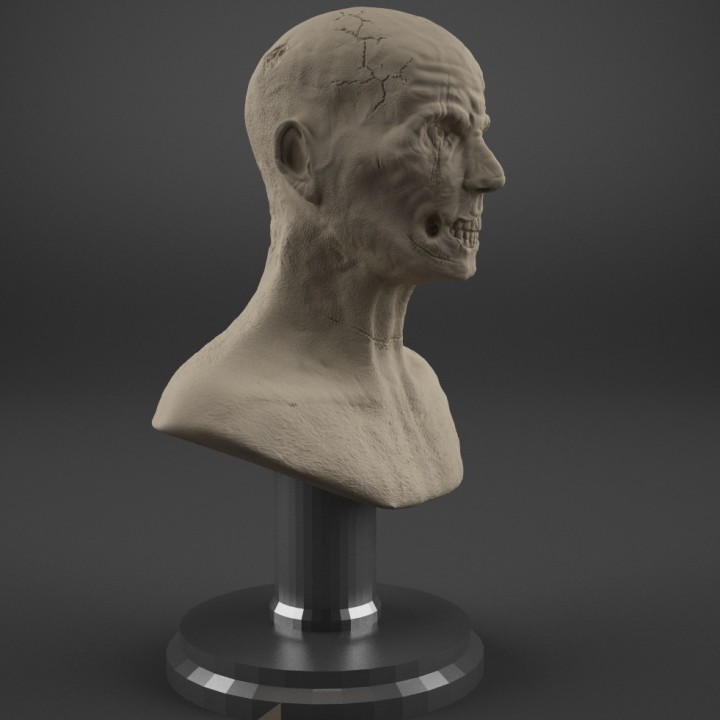 Zombie Bust image