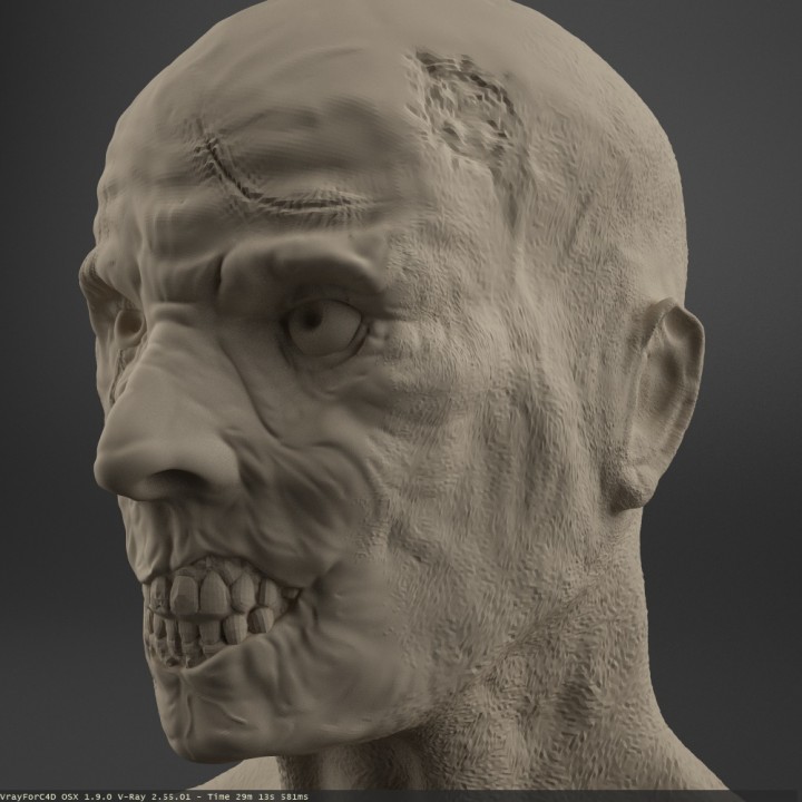 Zombie Bust image