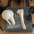 GIAA Bibliothèque Anatomique (Anatomic Library) - Humerus print image