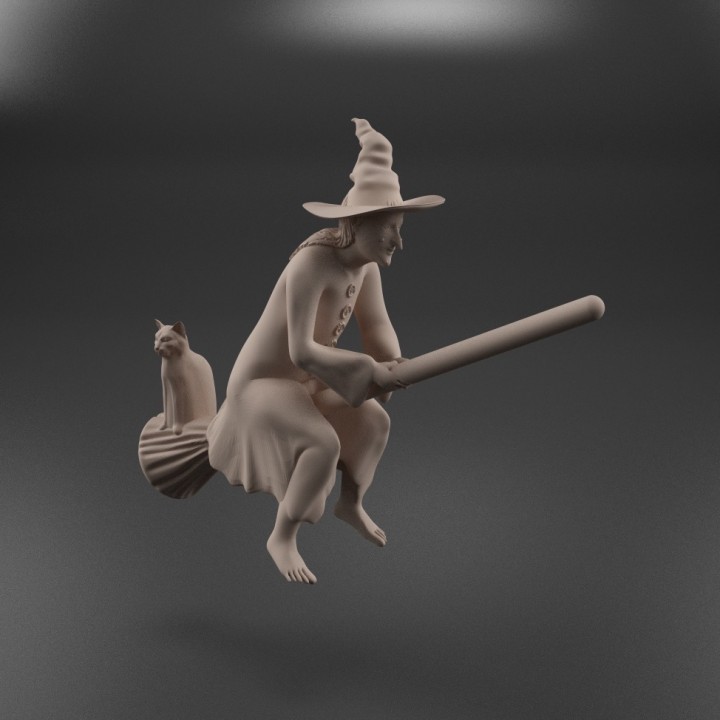 Witch on a Broomstick image