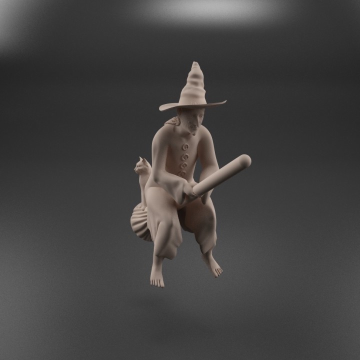 Witch on a Broomstick image