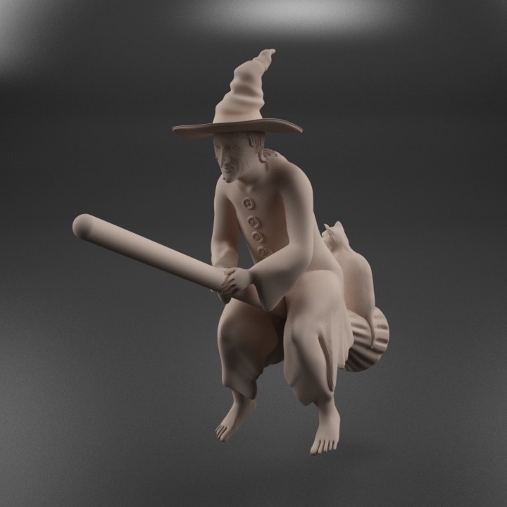 Witch on a Broomstick image