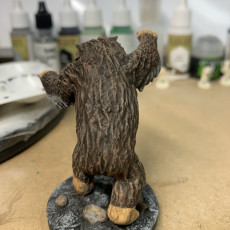 Picture of print of Owl beast miniature