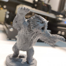 Picture of print of Owl beast miniature