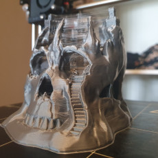 Picture of print of Skull City