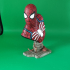 Spider-Man bust print image