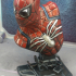 Spider-Man bust print image