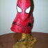 Spider-Man bust print image