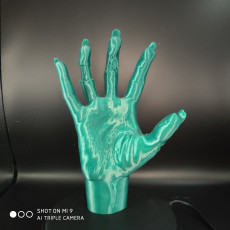 Picture of print of Zombie hand