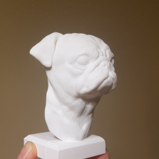 Picture of print of Pug Statue