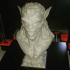 Werewolf bust print image