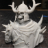 Razduun - Undead Lord print image