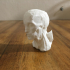 Untitled 3D Scan 2018-12-04 print image