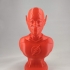 The Flash bust print image