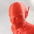 The Flash bust print image