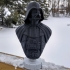 Darth Vader bust print image