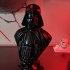 Darth Vader bust print image