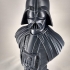 Darth Vader bust print image