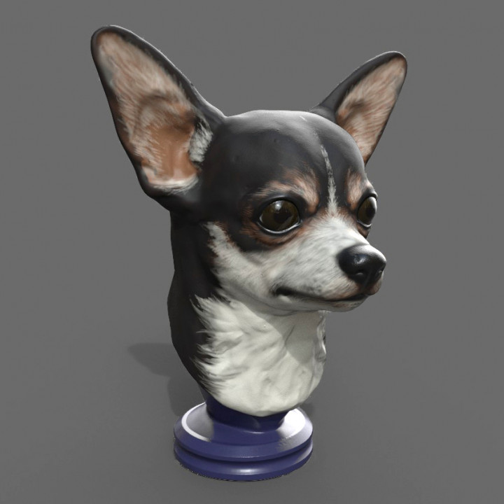 Chihuahua Statue image