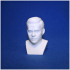 Captain Kirk Chris Pine Star Trek bust 3D printing ready stl obj print image