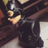 Catwoman bust print image