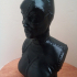 Catwoman bust print image