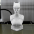 Catwoman bust print image