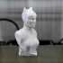 Catwoman bust print image