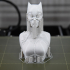 Catwoman bust print image