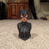 Catwoman bust print image