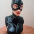 Catwoman bust print image