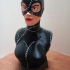 Catwoman bust print image