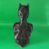 Catwoman bust print image