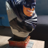 The Dark Knight bust print image