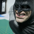 The Dark Knight bust print image