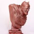 The Dark Knight bust print image