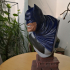 The Dark Knight bust print image